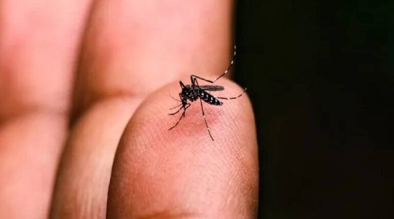 Casos de dengue aumentam quase 200% no Acre em um ano, aponta boletim da Sesacre
