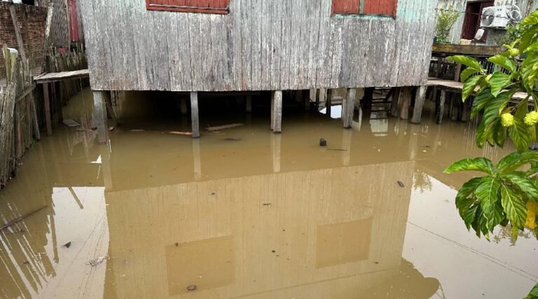 Nível do Rio Juruá chega a 13,30m e já atinge 10 bairros em Cruzeiro do Sul, mas nenhuma família precisou ser retirada