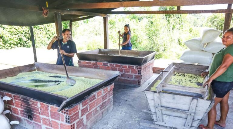 Governo do Acre e Instituto de Pesquisa Ambiental da Amazônia desenvolvem projeto para recuperação de paisagens degradadas no Juruá
