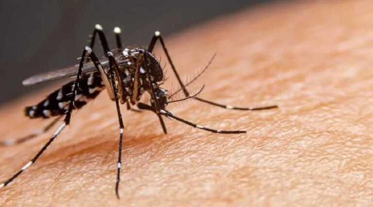 Casos suspeitos de dengue disparam quase 200% em 2025 no Acre, revela Saúde