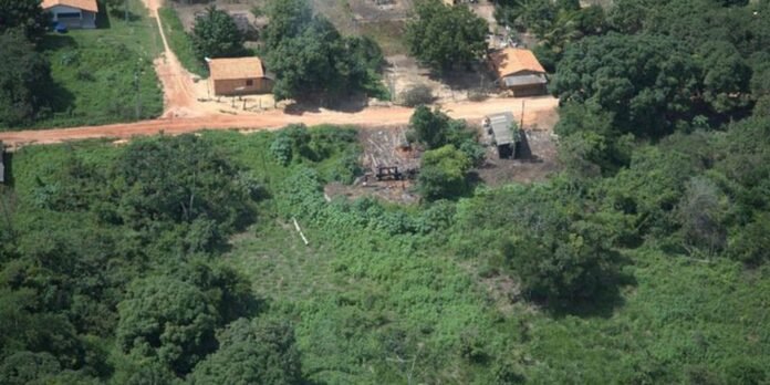 desintrusao-da-terra-indigena-arariboia-gera-r$-956-mil-em-infracoes