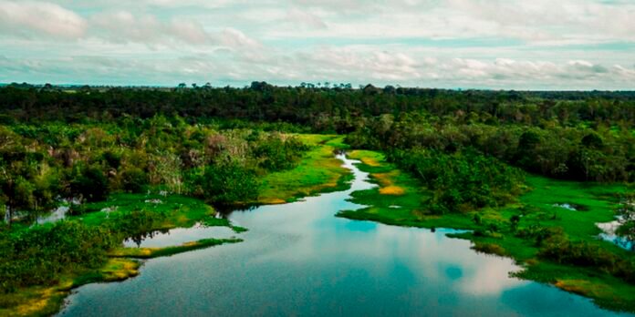area-de-protecao-tera-trilha-ecologica-e-turismo-de-base-comunitaria