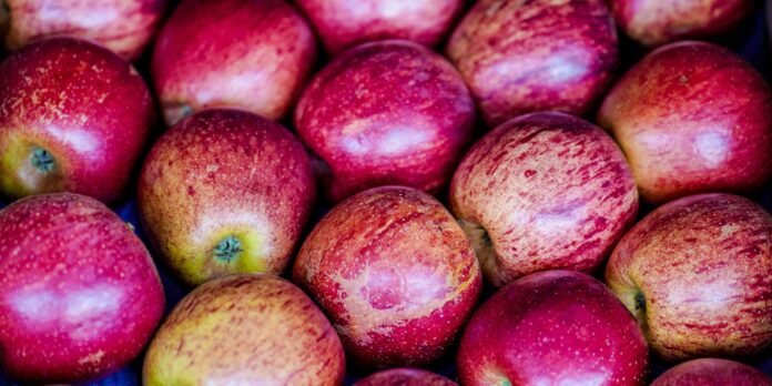 exportacao-de-frutas-cresceu-26%-no-primeiro-trimestre-de-2025 exportacao-de-frutas-cresceu-26%-no-primeiro-trimestre-de-2025