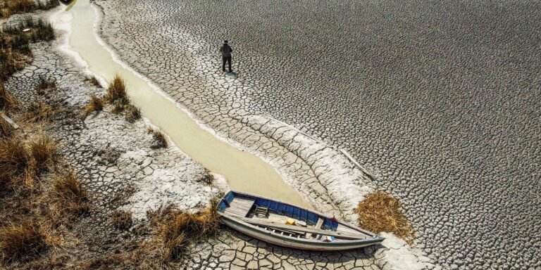 seca-deste-ano-foi-mais-branda-no-norte-e-centro-oeste,-revela-monitor