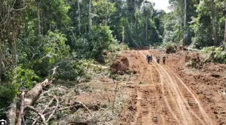 MPF recomenda refazer licenciamento de ramal no Vale do Juruá e exige consulta a indígenas