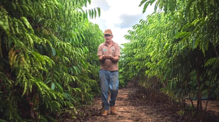 Produção agrícola do Acre dobrou nos últimos 6 anos, diz Secretaria de Agricultura