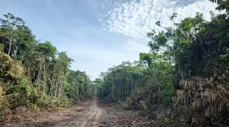 Governo avança para liberar obras da estrada entre Porto Walter e Rodrigues Alves após reunião com MPF