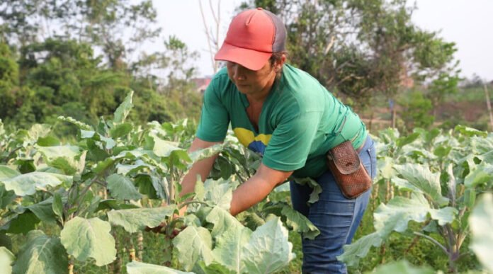 Novo Projeto - 2025-04-23T154335.041