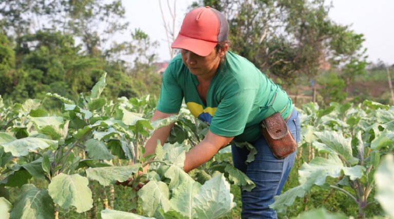 Governo abre chamadas públicas para aquisição de produtos da agricultura familiar destinados à alimentação escolar
