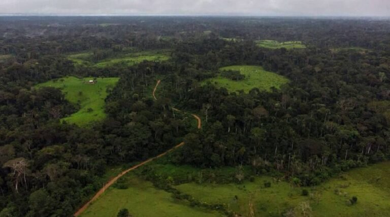 Desmatamento no Acre representa 1% do total registrado na Amazônia