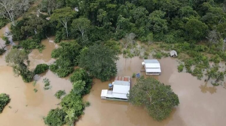 Defesa Civil de Feijó emite alerta sobre cheia do Rio Envira e já retira 10 famílias de áreas de risco