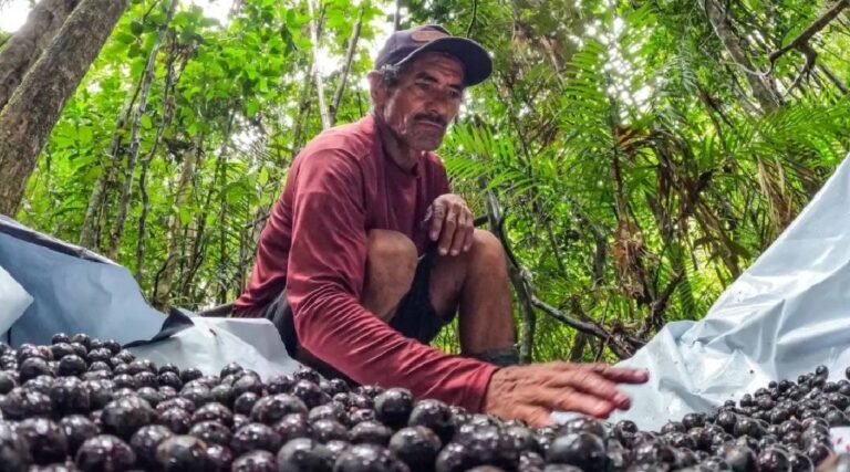 Seminário Internacional Txai Amazônia vai reunir lideranças no Acre para discutir bioeconomia