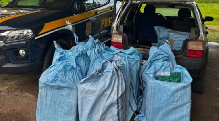 PRF apreende carga de cigarros contrabandeados e folhas de coca na BR-364