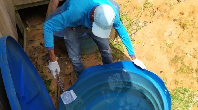 Cruzeiro do Sul registra queda nos casos de dengue mesmo em período chuvoso