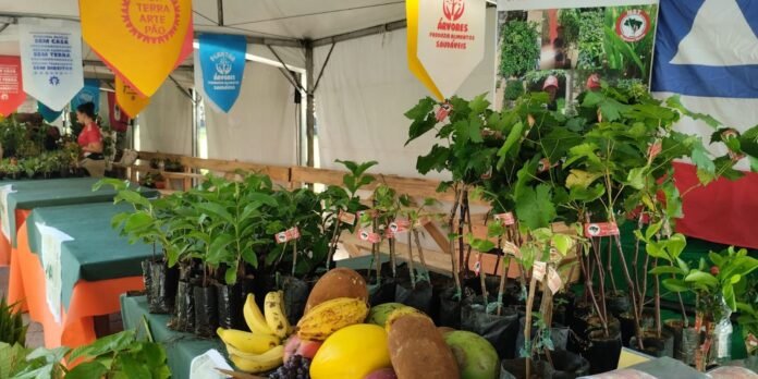 feira-da-reforma-agraria-oferece-alimentos-produzidos-por-acampamentos