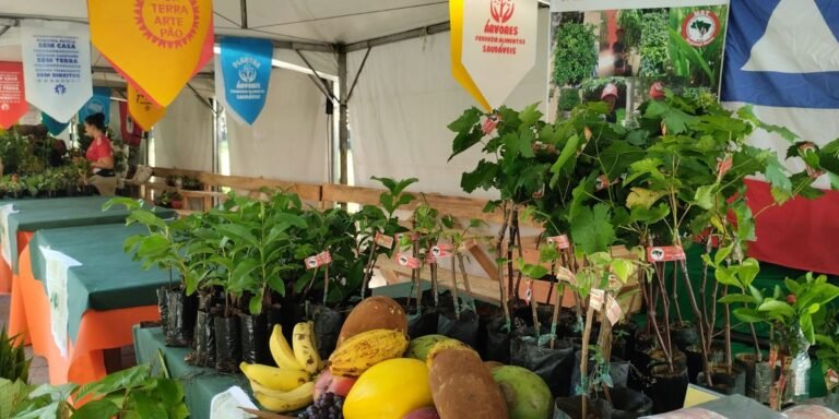 feira-da-reforma-agraria-oferece-alimentos-produzidos-por-acampamentos