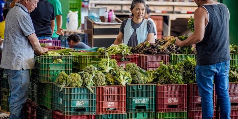 anvisa-inicia-monitoramento-de-residuos-de-agrotoxicos-em-alimentos