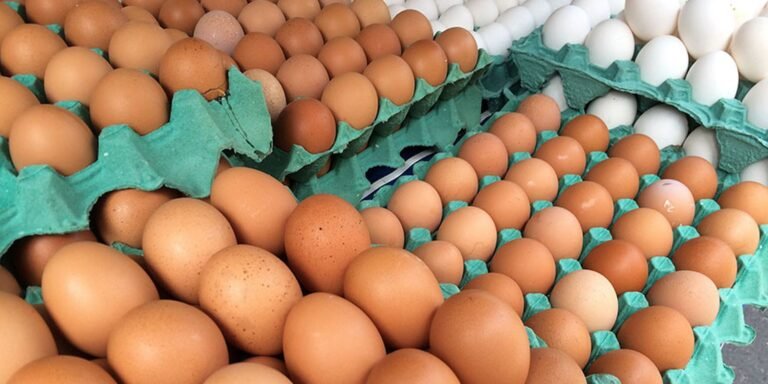 mg-descarta-preventivamente-450-toneladas-de-ovos-ferteis-vindos-do-rs