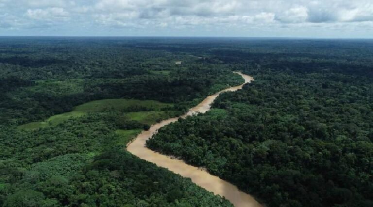 Acre vai sediar Reunião Anual da Força-Tarefa de Clima e Florestas dos Governadores