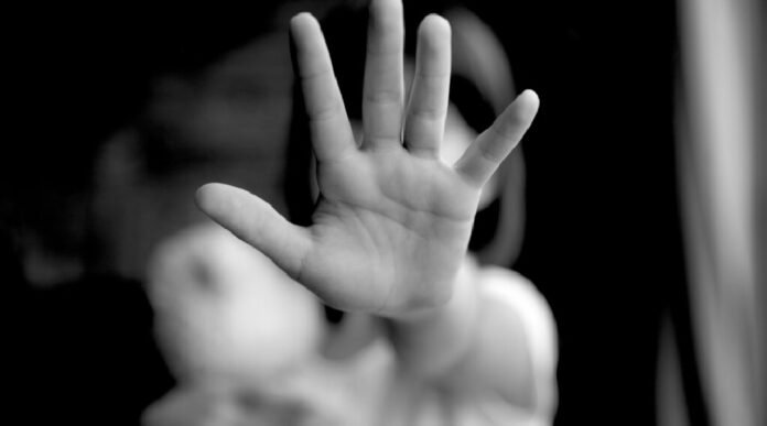 Novo Projeto - 2025-05-07T160441.695