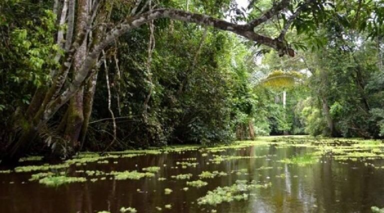 Turismo comunitário fortalece economia e preserva a floresta em Cruzeiro do Sul e Mâncio Lima