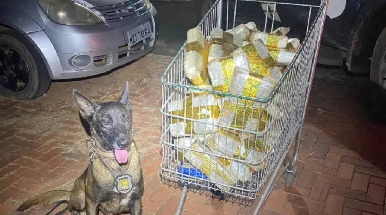 Polícia apreende droga avaliada em R$ 300 mil em transportadora do Acre