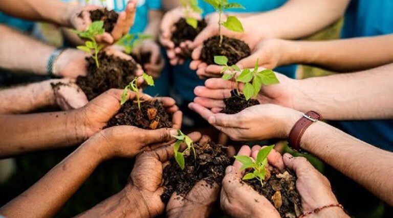 Cruzeiro do Sul promove Semana do Meio Ambiente com foco no combate à poluição plástica