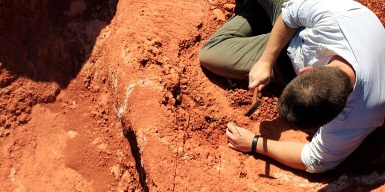 fossil-descoberto-no-brasil-lanca-luz-sobre-origem-dos-dinossauros