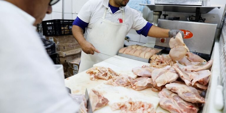 brasil-se-declara-pais-livre-da-gripe-aviaria