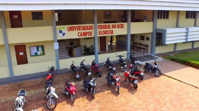 Novo Projeto - 2025-06-04T151543.579