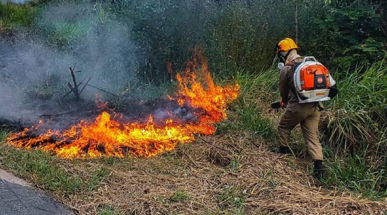 Incêndio em vegetação atinge área na Ac-405, em Cruzeiro do Sul