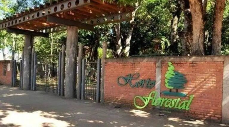 Justiça condena homem que tentou estrupar mulher dentro do Horto Florestal em Rio Branco 