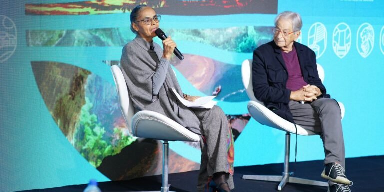 marina-silva-ve-“pl-da-devastacao”-como-tiro-no-pe-do-agronegocio