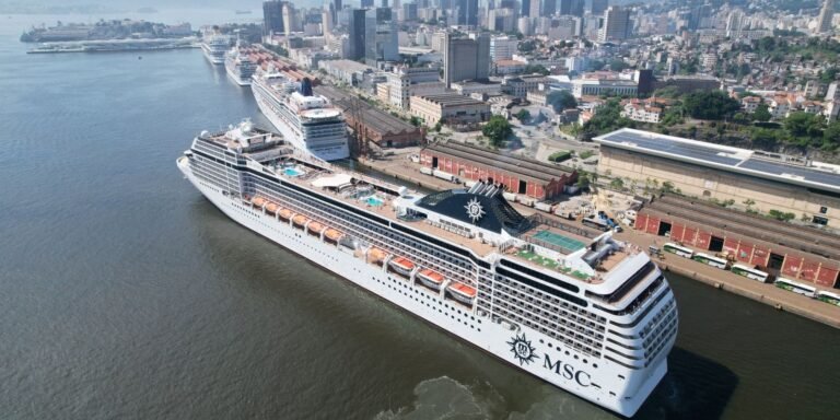 brasil-contrata-navios-para-hospedagem-na-cop30