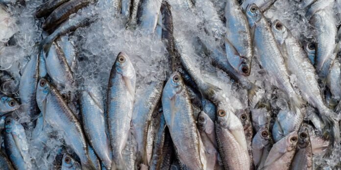 abipesca-pede-credito-emergencial-para-reduzir-impacto-do-tarifaco abipesca-pede-credito-emergencial-para-reduzir-impacto-do-tarifaco