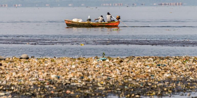 pescadores-tiram-46-toneladas-de-lixo-em-baias-de-guanabara-e-sepetiba