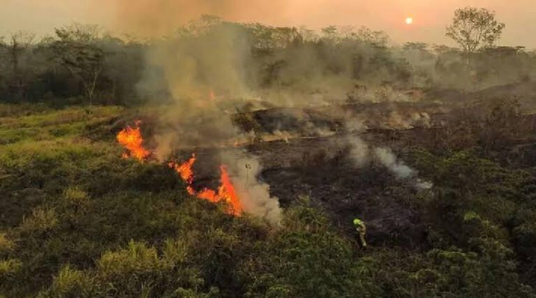 Acre registra queda de quase 80% nas queimadas em junho, mas alerta segue para os próximos meses