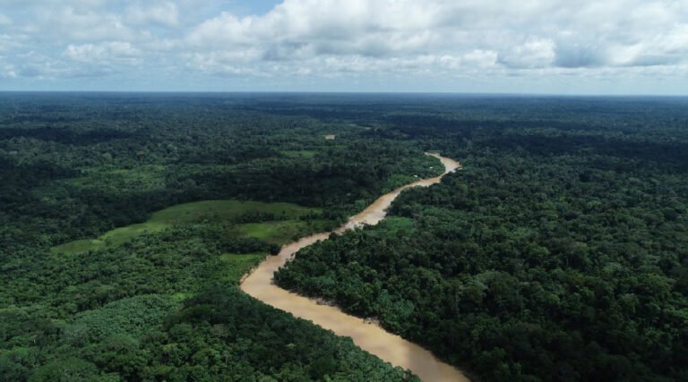 Acre publica novas regras para licenciamento ambiental de exploração florestal em florestas públicas