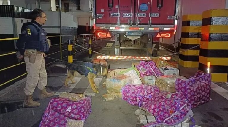 Carreta com carne que saiu de Rio Branco é flagrada com 400 kg de maconha em MG