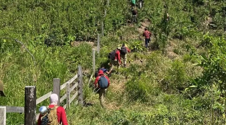 No Acre, bombeiros resgatam homem desaparecido em área de mata