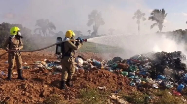 Bombeiros atendem 30 ocorrências de incêndios e resgatam 116 animais em 2025 no interior do Acre