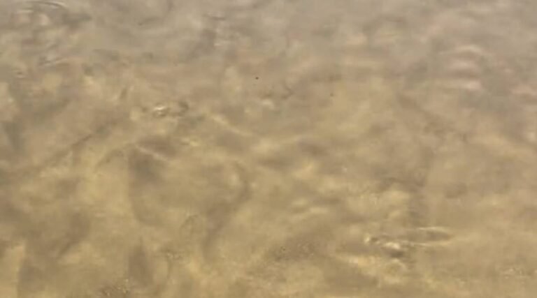 Rio Muru apresenta manchas de óleo e peixes aparecem mortos em Jordão