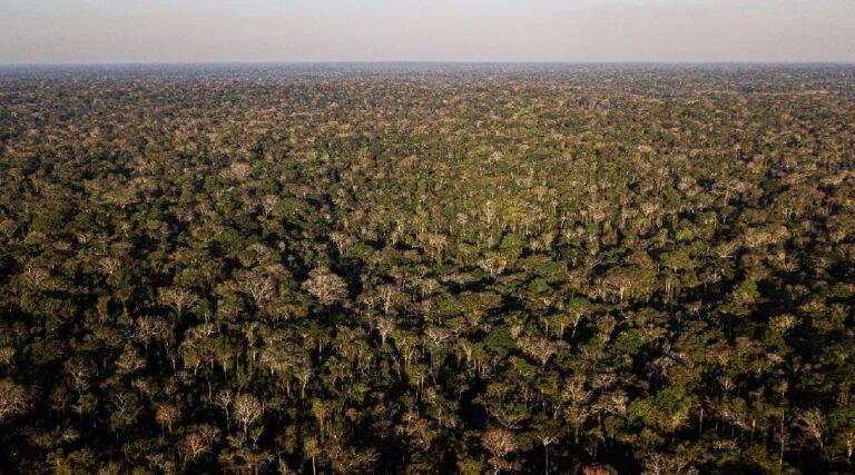 Resex Chico Mendes: Entre avanços civis e carências estruturais, o retrato da floresta habitada