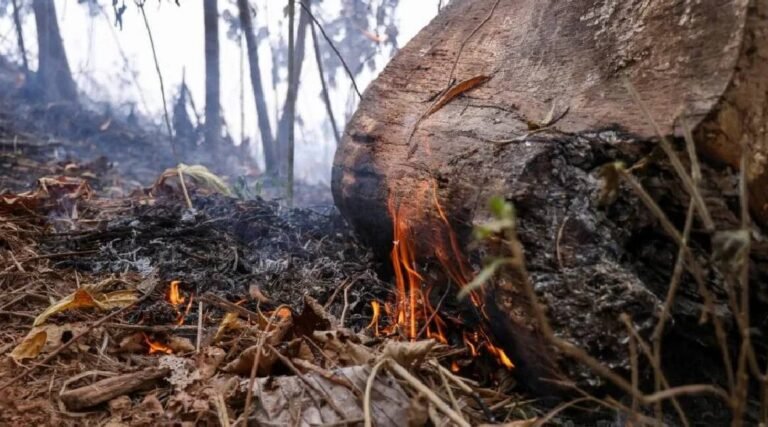 Queimadas nos primeiros cinco dias de julho já superam total de junho no Acre