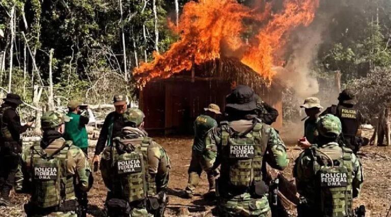 PF intensifica combate ao desmatamento e incêndios florestais no Acre e sul do Amazonas
