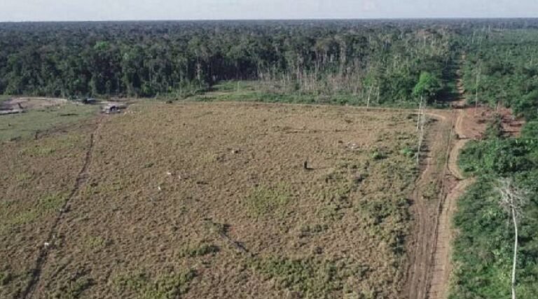 Justiça bloqueia R$ 49 milhões de desmatadores que atuaram na divisa do Acre com o Amazonas