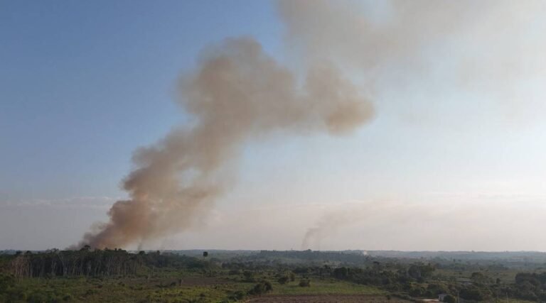 Juruá já registra focos de queimadas; responsáveis podem ser punidos com multa, processo criminal e até perda da terra
