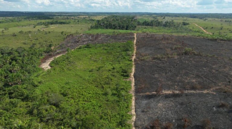 Imac e BPA realizam fiscalização ambiental e aplicam multas por queimadas e desmate ilegal no interior do Acre