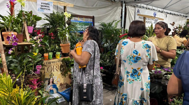 Feira do Empreendedor fortalece pequenos negócios durante o Novenário em Cruzeiro do Sul