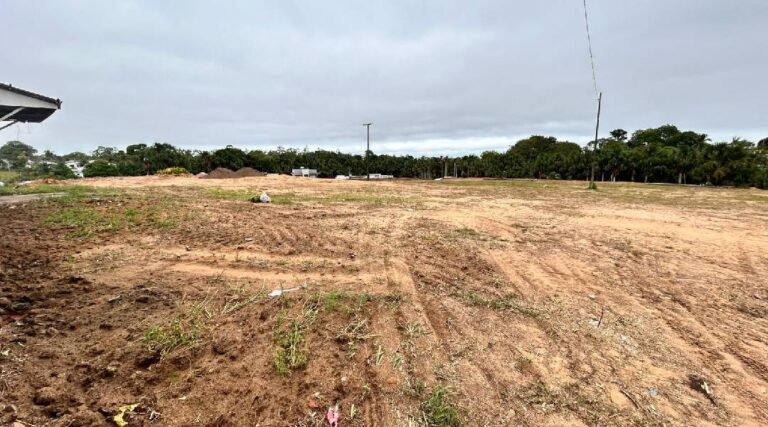 Organização de trânsito e estacionamentos é definida para o Festival da Farinha